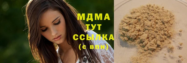 прущие грибы Богданович