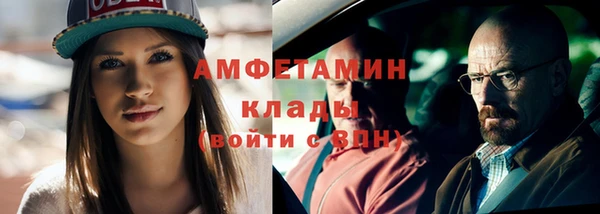 индика Богородск