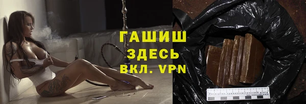 индика Богородск