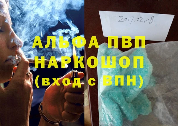 прущие грибы Богданович