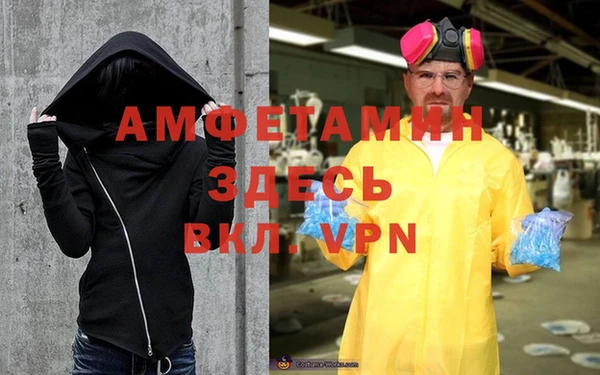 прущие грибы Богданович