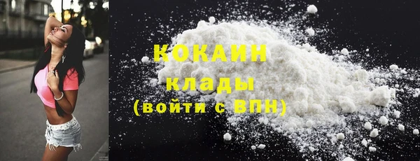 прущие грибы Богданович