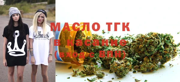 индика Богородск