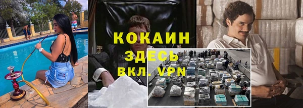 индика Богородск