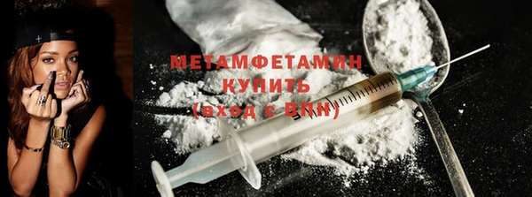 прущие грибы Богданович
